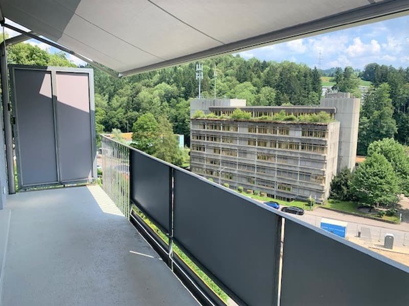 3.5 Zimmer-Wohnung im EG (6)