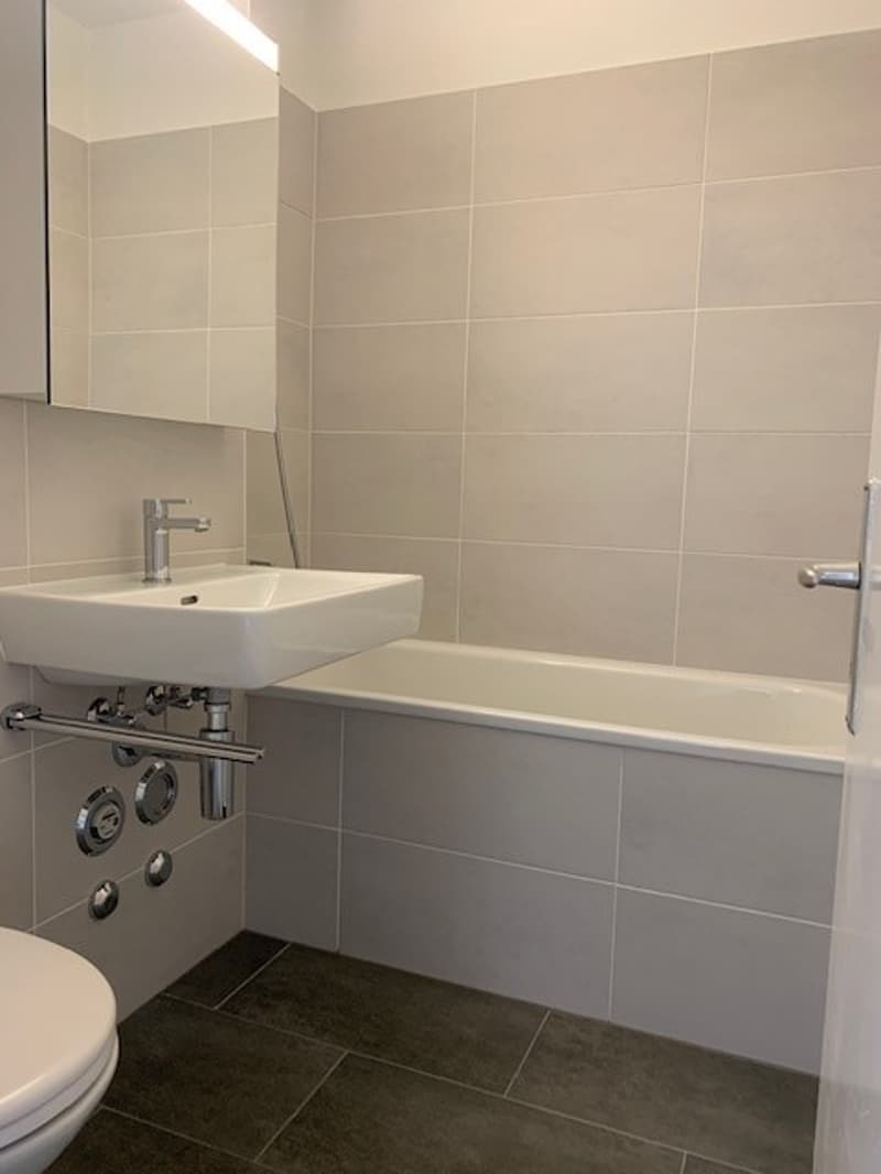 3.5 Zimmer-Wohnung im EG (7)