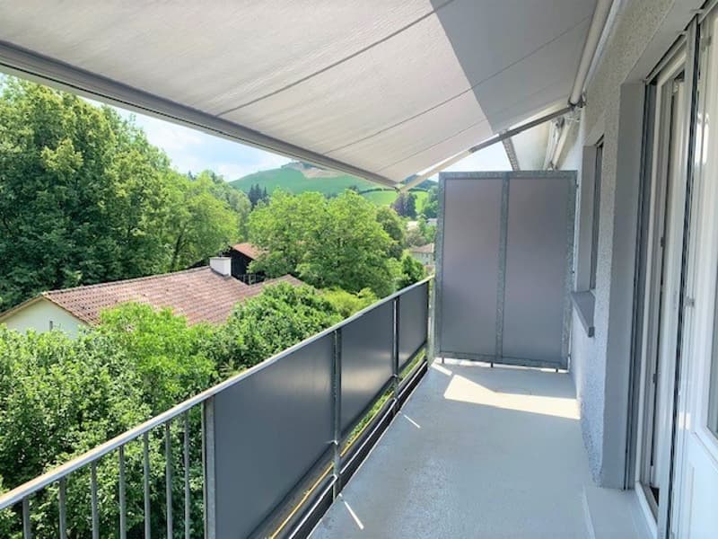 3.5 Zimmer-Wohnung im EG (8)