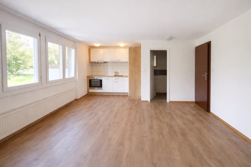 1 Zimmer-Wohnung im Hochparterre R rechts (OHNE BALKON) (8)