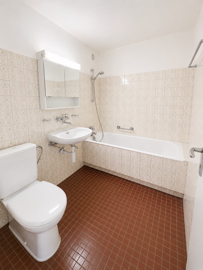 2.5 Zimmer-Wohnung mit Weitsicht (7)