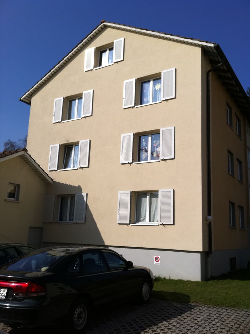 Grosszügige 6.5-Zimmer-Wohnung mit besonderem Charme und Gartenzugang (3)