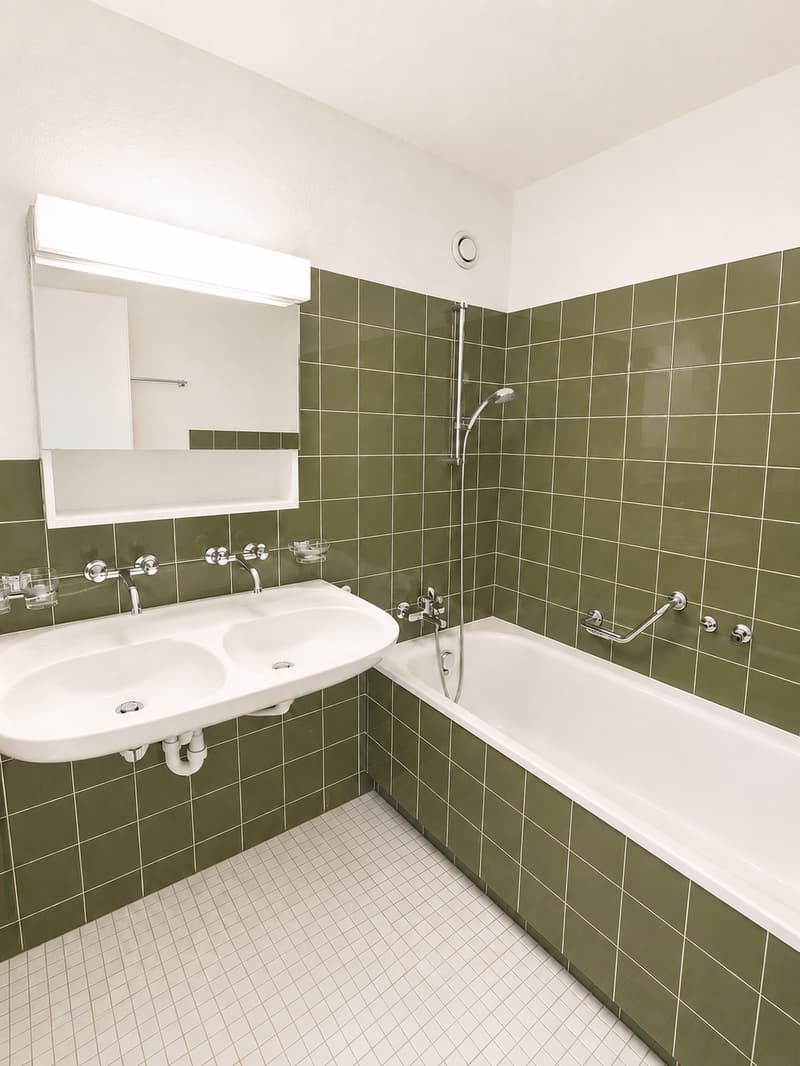 Helle 4.5-Zimmer-Wohnung an attraktiver Lage in Richterswil (8)