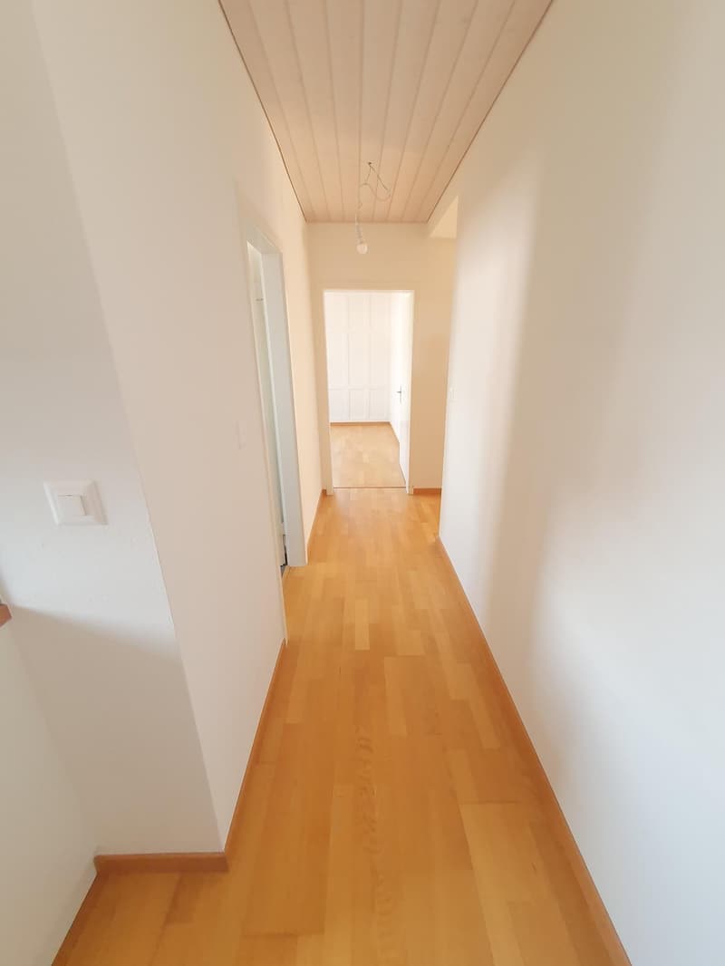 Charmante 3-Zimmer-Wohnung mit grossem Balkon in Rüti ZH (3)