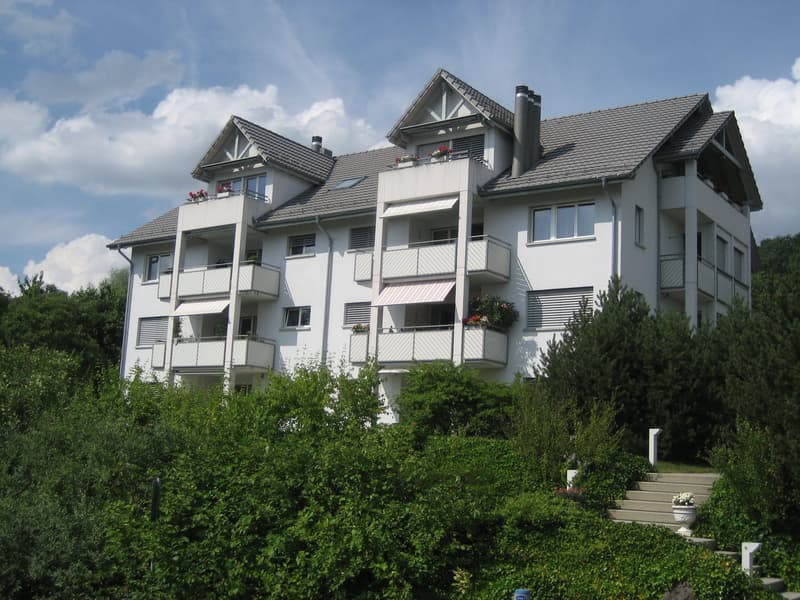 Sonnige 4 1/2-Zimmerwohnung an bester Wohnlage (1)
