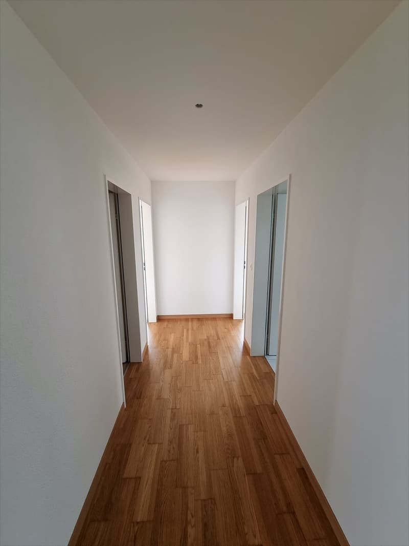 Sonnige 4 1/2-Zimmerwohnung an bester Wohnlage (2)
