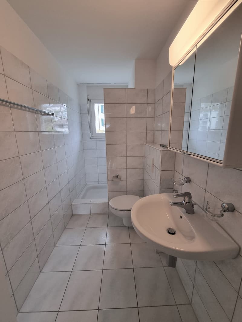 Sonnige 4 1/2-Zimmerwohnung an bester Wohnlage (7)