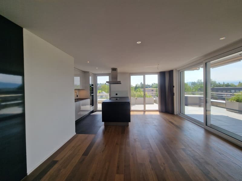 Exclusive Attikawohnung 8707 Uetikon am See