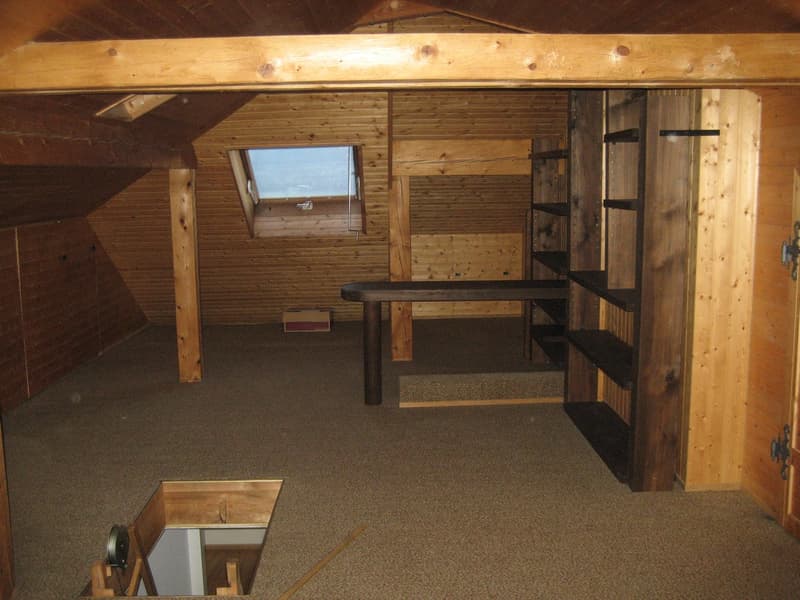 Wohnen mit Weitblick oberhalb von Herrliberg (9)