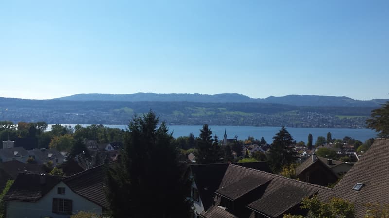 Wohnen mit Weitblick oberhalb von Herrliberg (11)