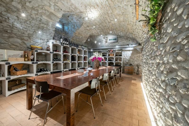 CHF 500'000.00 WIR-Anteil möglich - Exklusiver Weinkeller und zwei Gewerbeflächen, welche zu einer Wohnung um nutzbar sind an bester Lage in Killwangen! (2)