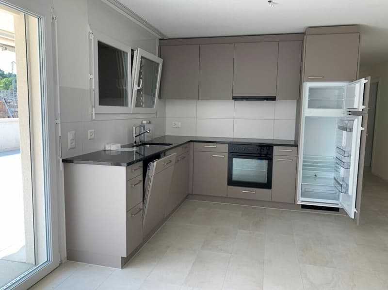 Charmante 3.5-Zimmer-Attikawohnung (1)