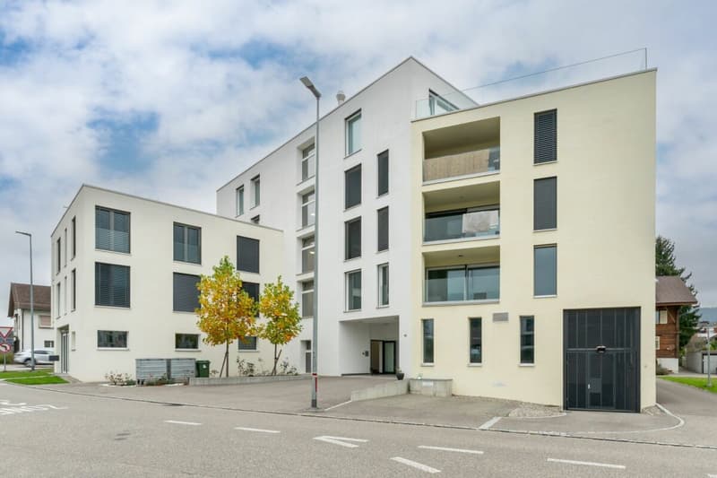Wohn(T)raum - Exklusive 2½-Zimmer-Wohnung an bester Lage in Oftringen! (1)