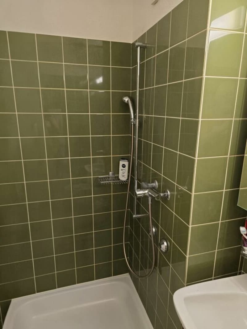 Charmante 4½-Zimmerwohnung (4)