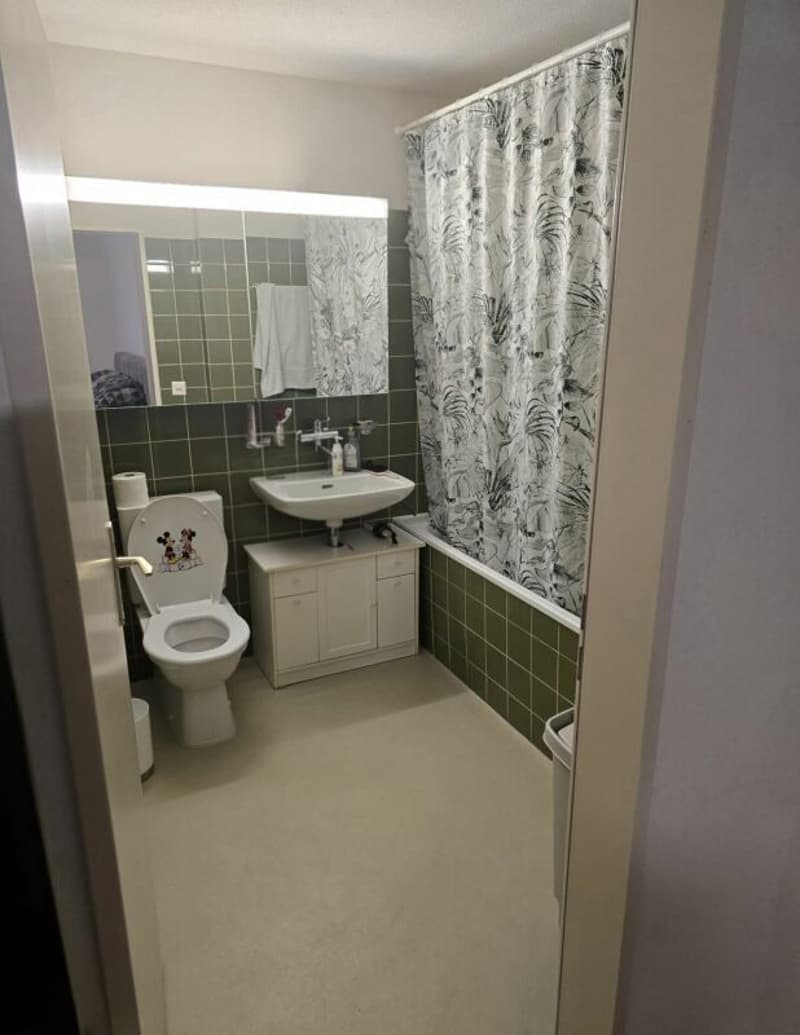 Charmante 4½-Zimmerwohnung (3)