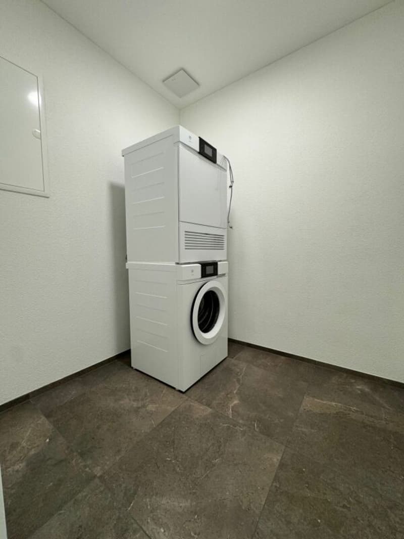 Wohn(T)raum - Exklusive 3½-Zimmer-Gartenwohnung an bevorzugter Lage! (11)