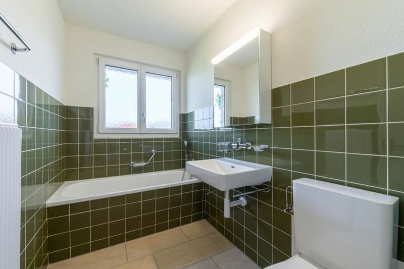Doppeleinfamilienhaus an bester Lage in Rothrist zu vermieten (7)