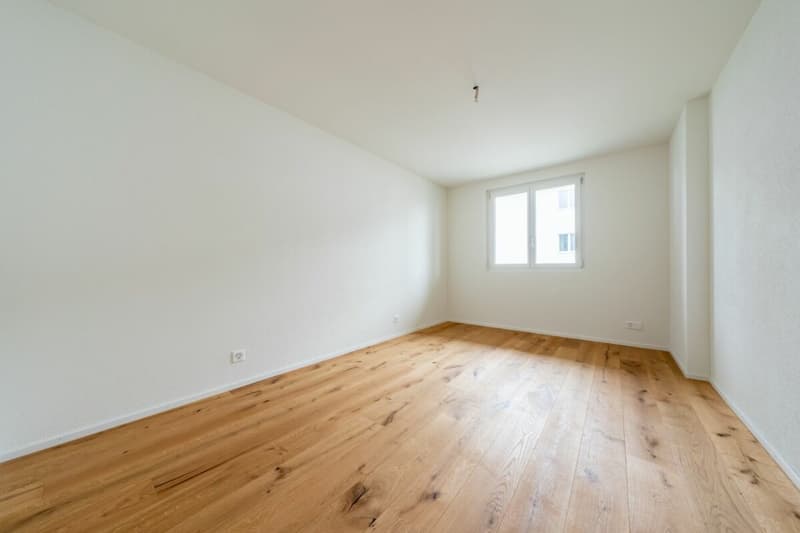 Schöne 4½-Zimmer-Wohnungen zu vermieten (6)