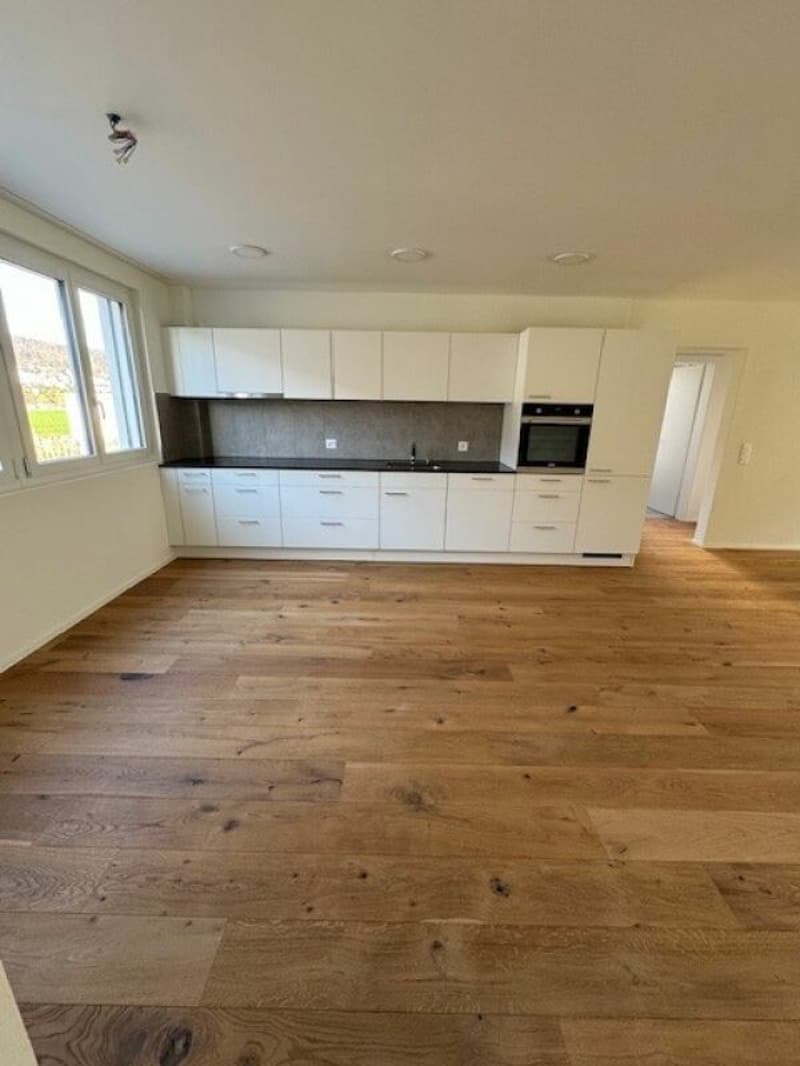 Schöne 4½-Zimmer-Wohnungen zu vermieten (3)