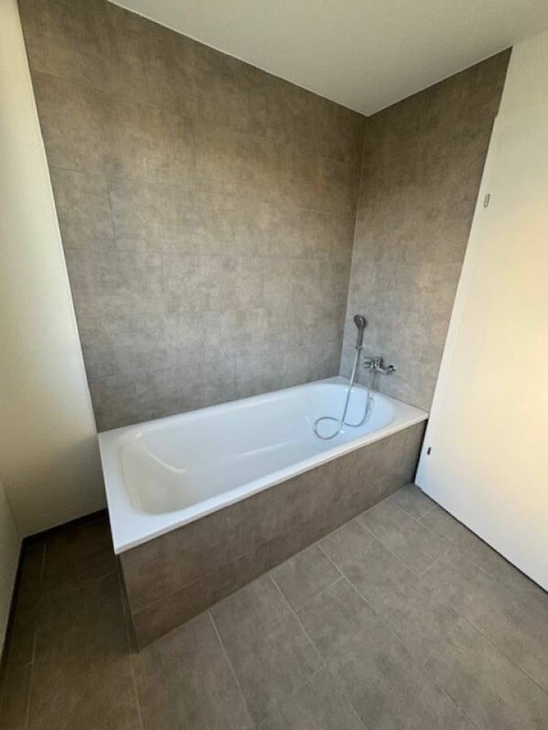Schöne 4½-Zimmer-Wohnungen zu vermieten (4)