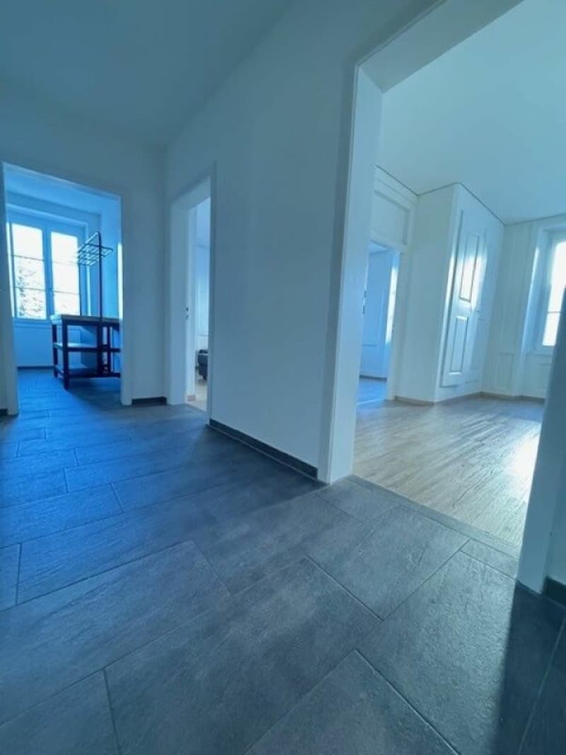 «gemütliche 2½-Zimmer-Altstadtwohnung» (8)