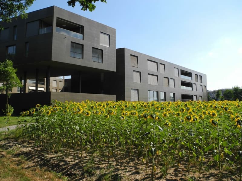 Plaza Verde - Mehr Wohn(T)raum - 2.5-Zimmerwohnung (3)
