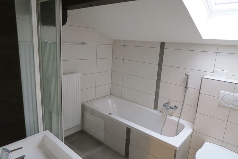 Charmante 3½-Zimmer-Wohnung im Chalet (5)