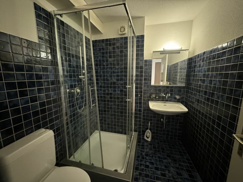 1-Zimmer-Wohnung direkt in der Altstadt! (5)