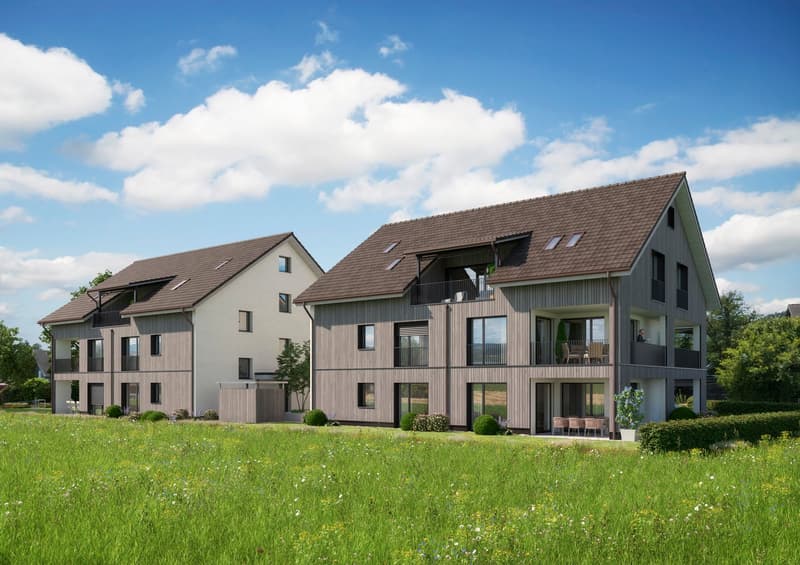Nouveau bâtiment "SERAEL" - Vue imprenable sur le lac de Greifensee, calme et proche du village (4)