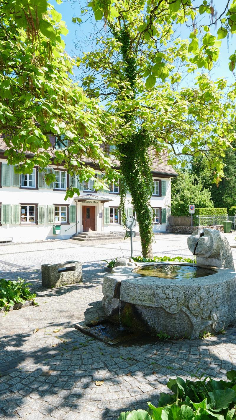 Edificio nuovo "SERAEL" - Vista ininterrotta sul lago di Greifensee, tranquillo e vicino al villaggio (9)