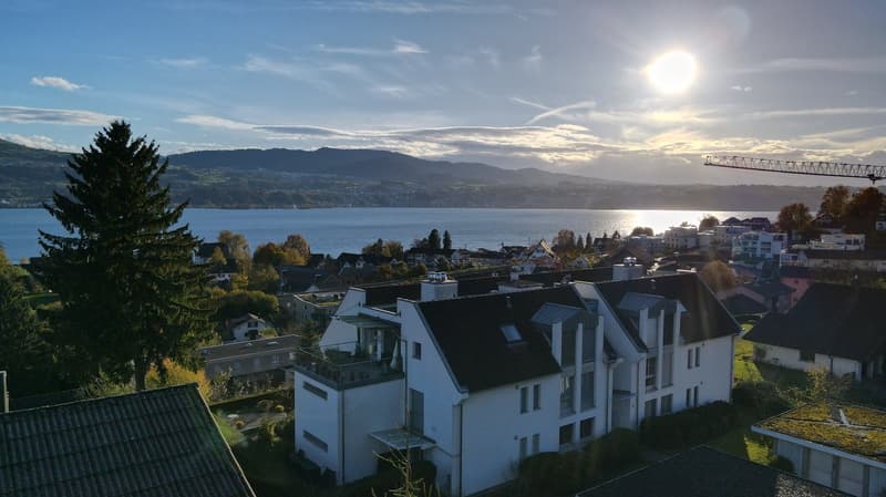 UNVERBAUBARE PANORAMASICHT – 5½-ZIMMER-WOHNUNG ÜBER DEM ZÜRICHSEE (2)