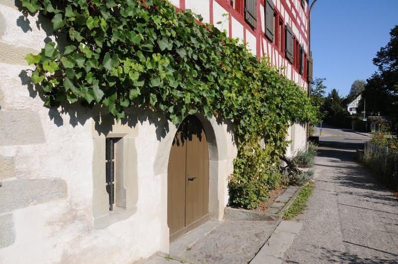 UNVERBAUBARE PANORAMASICHT – 5½-ZIMMER-WOHNUNG ÜBER DEM ZÜRICHSEE (12)