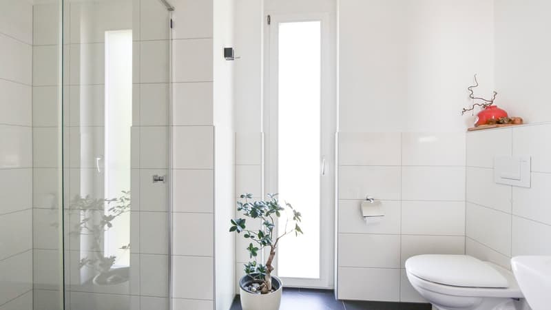 Grosszügige 5.5-Zimmer-Maisonette-Wohnung mit viel Privatsphäre und Wohnkomfort (10)