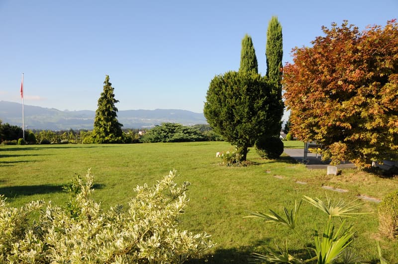 2 Zimmer-Gartenwohnung mit Fernsicht in die Berge, ruhig, zentral (8)