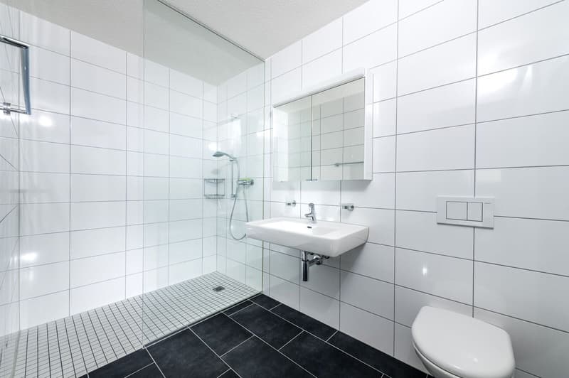 Sehr grosszügige 3.5 Zi-Wohnung 106 m2 an sonniger Lage (8)