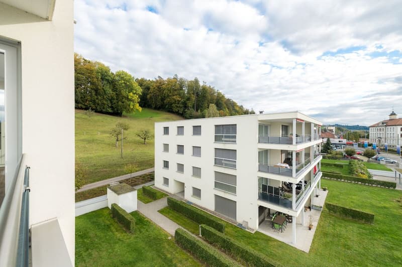 Sehr grosszügige 3.5 Zi-Wohnung 106 m2 an sonniger Lage (15)
