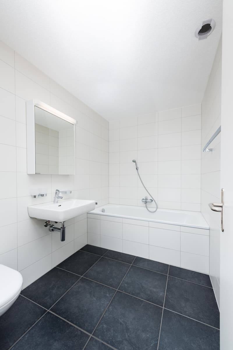Neuwertige sehr grosse 3.5 Zi-Gartenwohnung 112 m2 (12)