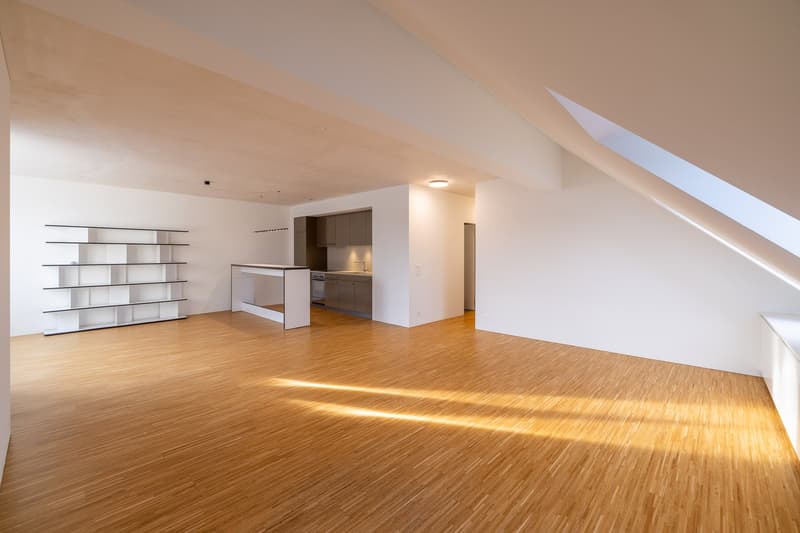 Moderne und hochwertige 3.5 Zi-Altstadtwohnung (5)