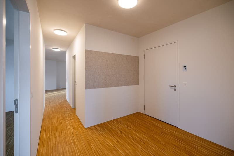 Moderne und hochwertige 3.5 Zi-Altstadtwohnung (3)
