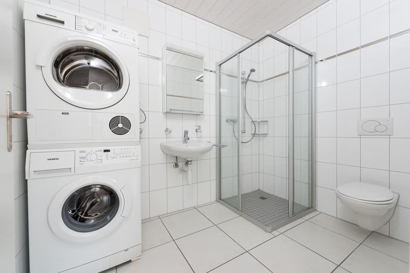Grosszügige 4.5 Zi-Dachwohnung 136m2 (9)