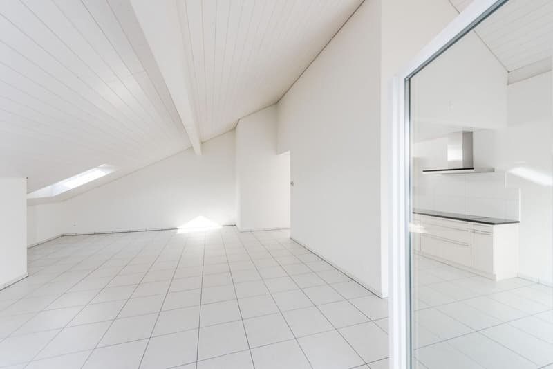 Grosszügige 4.5 Zi-Dachwohnung 136m2 (5)