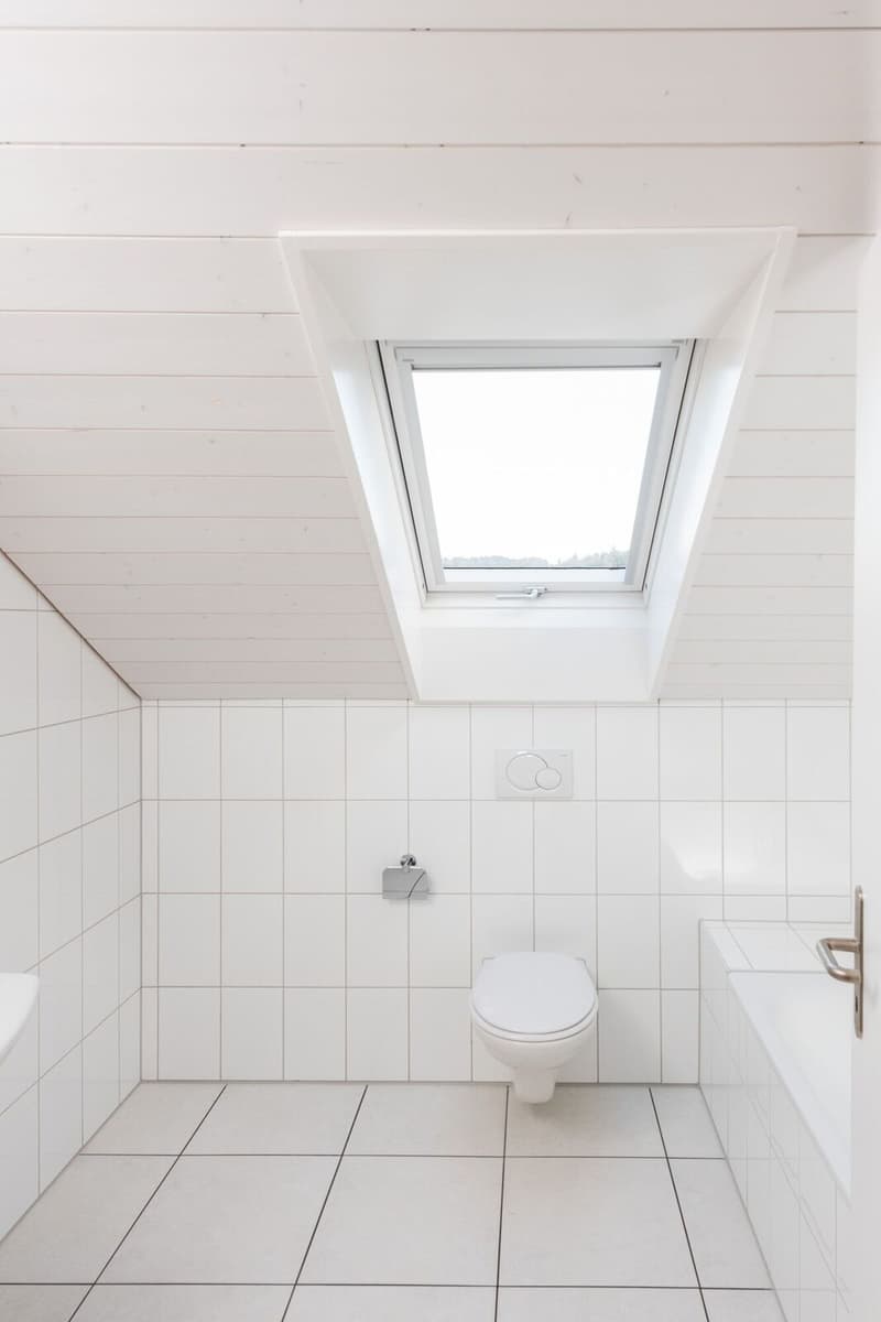 Grosszügige 4.5 Zi-Dachwohnung 136m2 (8)