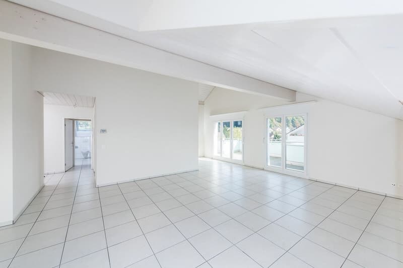 Grosszügige 4.5 Zi-Dachwohnung 136m2 (6)