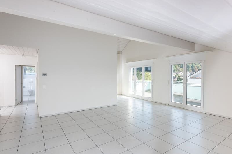 Grosszügige 4.5 Zi-Dachwohnung 136m2 (4)