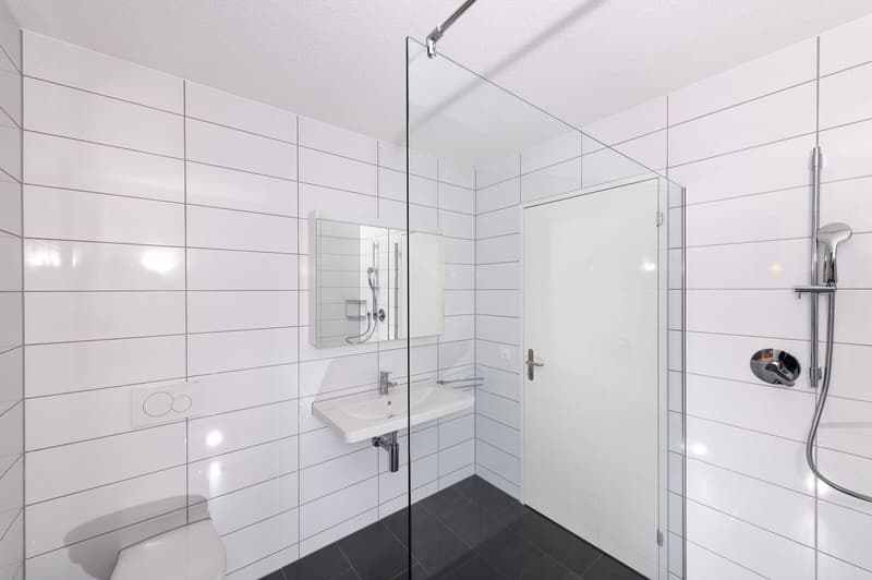Grosse neuwertig 4.5 Zi-Attikwohnung 131 m2 (9)