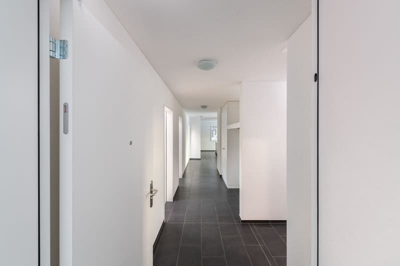 Grosse neuwertig 4.5 Zi-Attikwohnung 131 m2 (3)