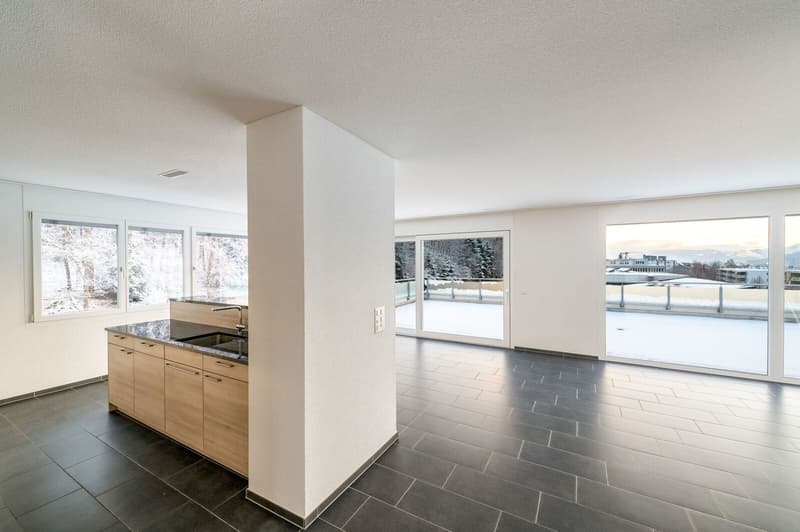 Grosse neuwertig 4.5 Zi-Attikwohnung 131 m2 (4)
