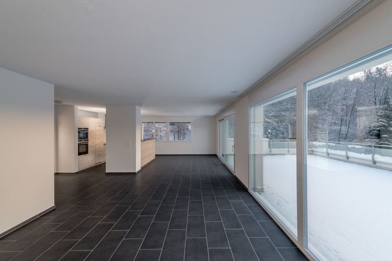 Grosse neuwertig 4.5 Zi-Attikwohnung 131 m2 (6)