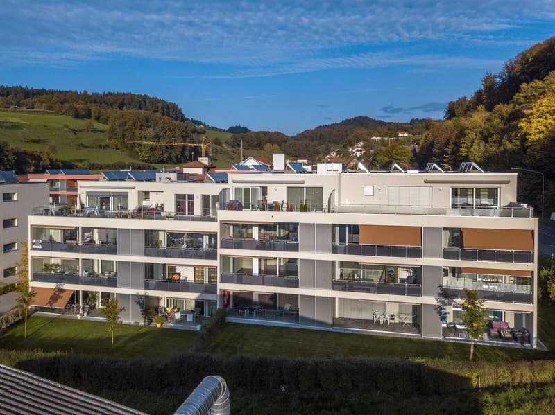 Grosse neuwertig 4.5 Zi-Attikwohnung 131 m2 (2)