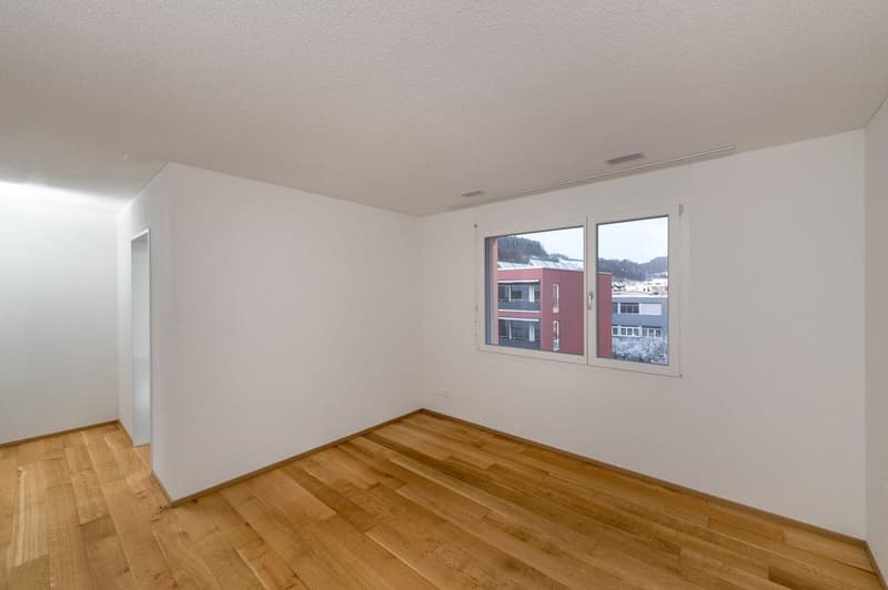 Grosse neuwertig 4.5 Zi-Attikwohnung 131 m2 (12)